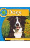 See How They Grow: Dog