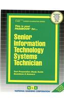Senior Information Technology Systems Technician