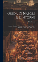 Guida di Napoli e dintorni