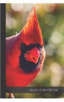 Sun Cardinal
