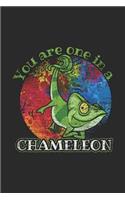 You Are One in a Chameleon: Chameleons Notebook, Blank Lined (6 X 9 - 120 Pages) Animal Themed Notebook for Daily Journal, Diary, and Gift