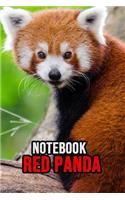 Red Panda Notebook: Lovely Journal / Diary / Notepad, For Kids and Adults Cool To Write In (Lined, 6 x 9)