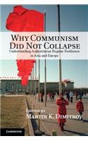 Why Communism Did Not Collapse