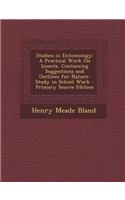 Studies in Entomology: A Practical Work on Insects, Containing Suggestions and Outlines for Nature-Study in School Work - Primary Source Edit