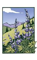 Lupines (Unboxed)