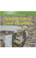 Spitting Cobra/Cobra Escupidora