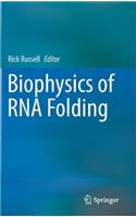 Biophysics of RNA Folding