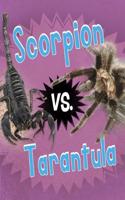 Scorpion vs. Tarantula: (Animal Rivals)