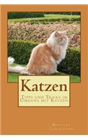 Katzen