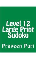 Level 12 Large Print Sudoku: 80 Easy to Read, Large Print Sudoku Puzzles