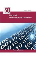 Electronic Authentication Guideline