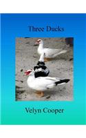 Three Ducks