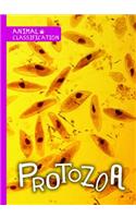 Protozoa