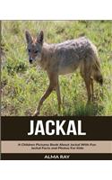 Jackal