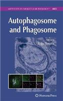 Autophagosome and Phagosome