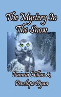Mystery In The Snow