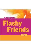 Flashy Friends