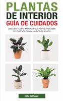 Plantas de Interior - Guía de Cuidados
