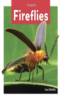 Insects: Fireflies