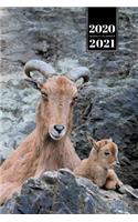 Goat Farmer Farming Herder Goatherd Week Planner Weekly Organizer Calendar 2020 / 2021 - Father and Kid