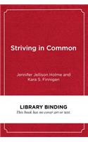 Striving in Common: A Regional Equity Framework for Urban Schools(Education Politics and Policy)
