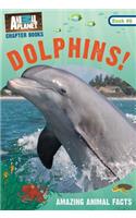 Dolphins!