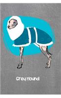 Grey Hound