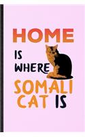 Home Is Where Somali Cat Is