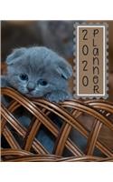 2020 Weekly Planner: The Ultimate Weekly Planner 8x10 136 pages just for Cat Lovers!