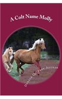 A Colt Name Molly: Ther Hunt For ''Febee''
