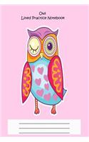 Owl Lined Practice Notebook: Spelling, Writing, And Vocabulary Blank Exercise Paper Gift For Kids