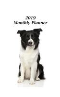 2019 Monthly Planner: Border Collie Cover - Includes Major U.S. Holidays and Sporting Events