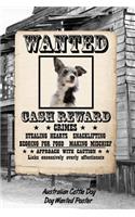 Australian Cattle Dog Dog Wanted Poster