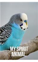 My Spirit Animal: Budgie Journal