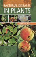 Bacterial Diseases in Plants