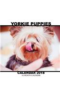 Yorkie Puppiess Calendar 2018: 16 Month Calendar