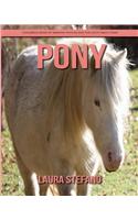 Pony