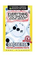 Everything You Should Know About Bacteria