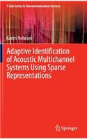 Adaptive Identification of Acoustic Multichannel Systems Using Sparse Representations