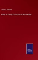 Notes of Family Excursions in North Wales