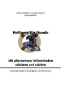 Wellness für Hunde