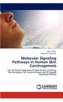 Molecular Signaling Pathways in Human Skin Carcinogenesis