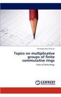 Topics on multiplicative groups of finite commutative rings