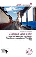 Cosl Da -Lube-Boast