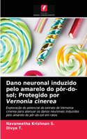 Dano neuronal induzido pelo amarelo do pôr-do-sol; Protegido por Vernonia cinerea
