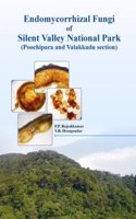 Endomycorrhizal Fungi of Silent Valley National Park
