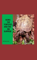 Boris The Tortoise