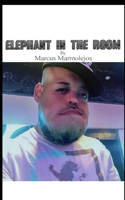 Elephant In The Room