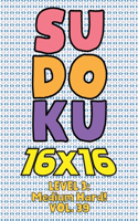 Sudoku 16 x 16 Level 3: Medium Hard! Vol. 39: Play 16x16 Grid Sudoku Medium Hard Level Volumes 1-40 Solve Number Puzzles Become A Sudoku Expert On The Road Paper Fun Activi