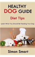 Healthy Dog Guide